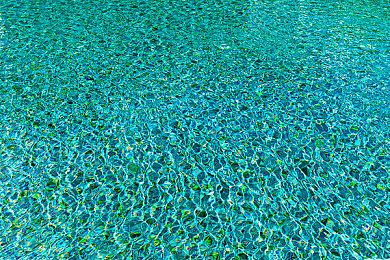 中世纪种田模拟《Mirthwood》新预告 年内发售