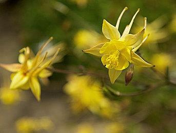 动作游戏《鸦卫奇旅》结束抢先体验 9月26日发售正式版